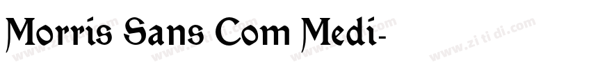 Morris Sans Com Medi字体转换